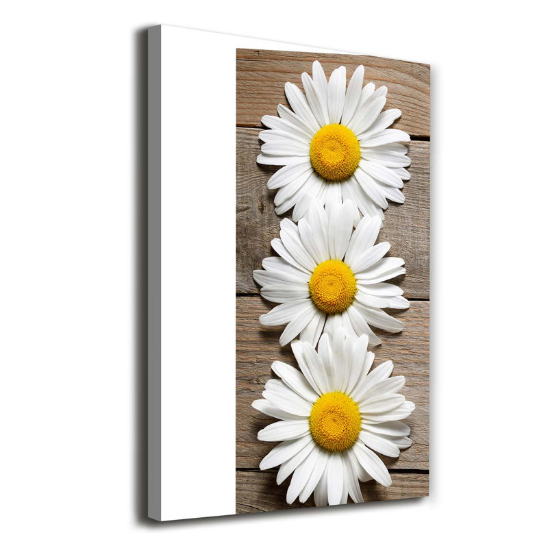 Chamomile On The Wood - Wrapped Canvas Print