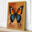 Symmetrical Butterfly Study Boho - Wrapped Canvas-1452777071-1452777070