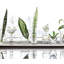 Weston Handmade Glass Table Vase-1572567585