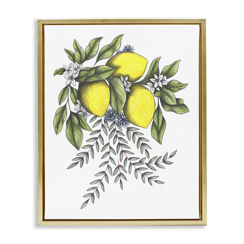 Cadre flottant avec croquis citrons et fleurs, design par Cecilia Battaini, H 21 po x l 17 po, Cadre flottant métallique doré