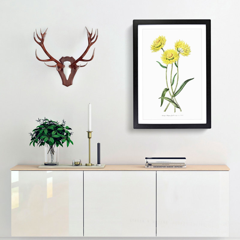 Yellow Starflowers - Framed Print, 36cm H x 27cm W x 2cm D, Black Framed