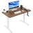 Adjustable Standing Desk-100133514-100133516