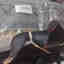 Photos des clients 1 de 1