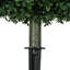 70 cm H Faux Boxwood Tree Plant