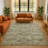 Premium Machine Washable Alaina AMF1929 Global Rug-1489633207
