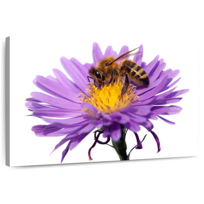 Abeille à miel qui suce le nectar