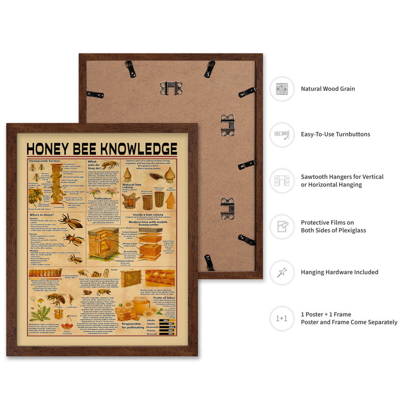 Connaissance de l'abeille, Poster, 12"H x 16"W, Brown Framed
