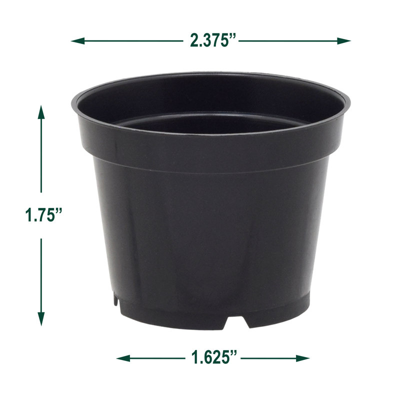 Ensemble de casseroles en plastique Kounain, H 1,75 po x l 2,38 po x P 2,38 po, 100