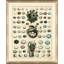 Nest and Eggs I Framed Graphic Art