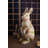 Angelus Animals Statue