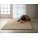 Riverstone Wool Area Rug in Brown