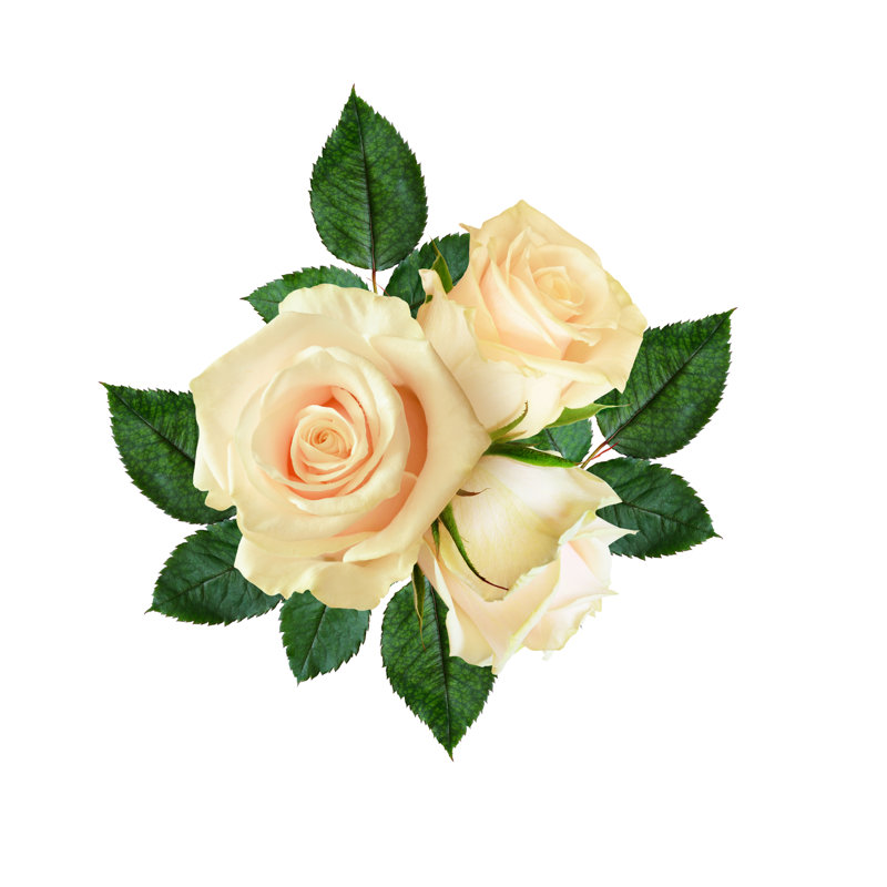 Composition de fleurs roses - photographie sur toile tendue, H 30 po x l 30 po