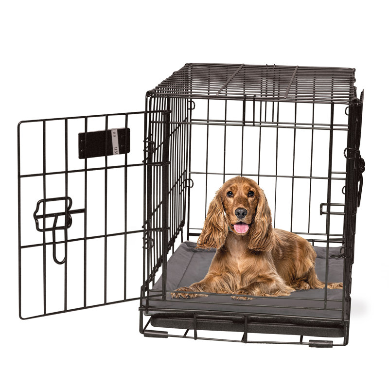 Tapis de caisse pour chien auto-chauffant, Moyen (l 31 po x P 21 po x H 0,5 po), gris