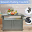 Armoire de rangement pour barbecue avec roulettes, gris