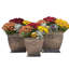 Ensemble de 3 pots à fleurs Bramhall-835781455