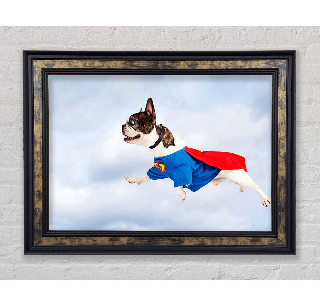 Super Dog Skies - Einzelner Bilderrahmen Kunstdrucke