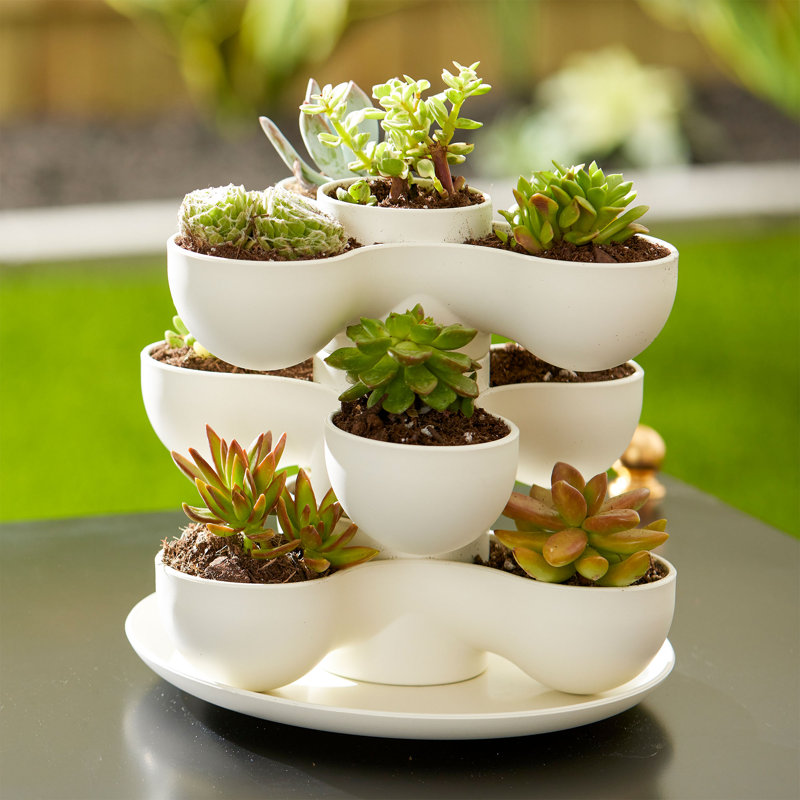 Kassa Pot Planter