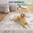 Washable Area Rugs for Living Room Modern Floral Bedroom Rugs for Dining Room OfficeContemporary Home Decor Rug-2044790042-2044790046