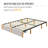 Argjirulla Upholstered Platform Storage Bed-1939593904-1893497893