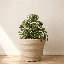 Pot à fleurs rond Kaofen ECOBO EcoFriendly-580920281-580920261