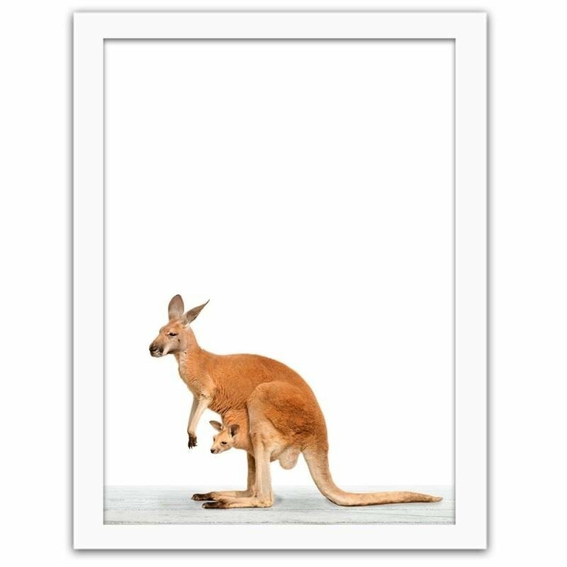 Gerahmter Fotodruck Kangaroo