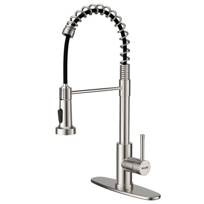Babevy Pull Down Kitchen Faucet