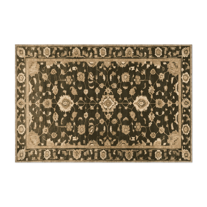 Overdyed Brown Indoor and Outdoor Area Rug, Rectangle 3' x 5'