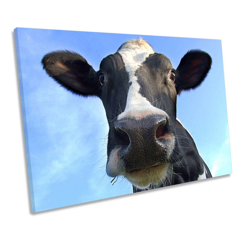 Cow Farm Animal - Wrapped Canvas Print, 30.5cm H x 45.7cm W