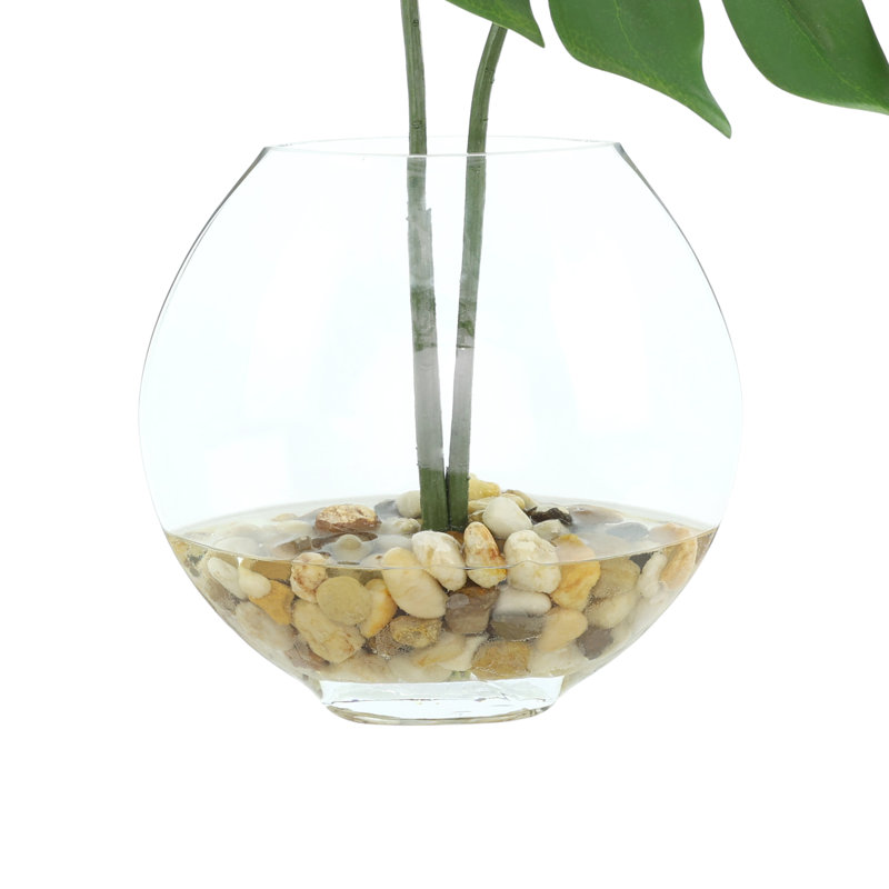 Split Philodendron Leaves In Glass Vase