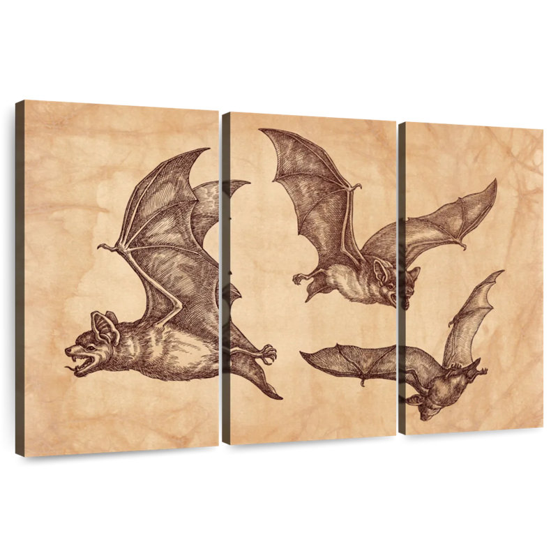 Chauves-souris Brampt, H 42 po x l 65 po