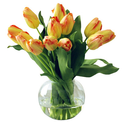 Tulips Arrangement in Vase