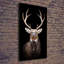 Deer - Wrapped Canvas Print