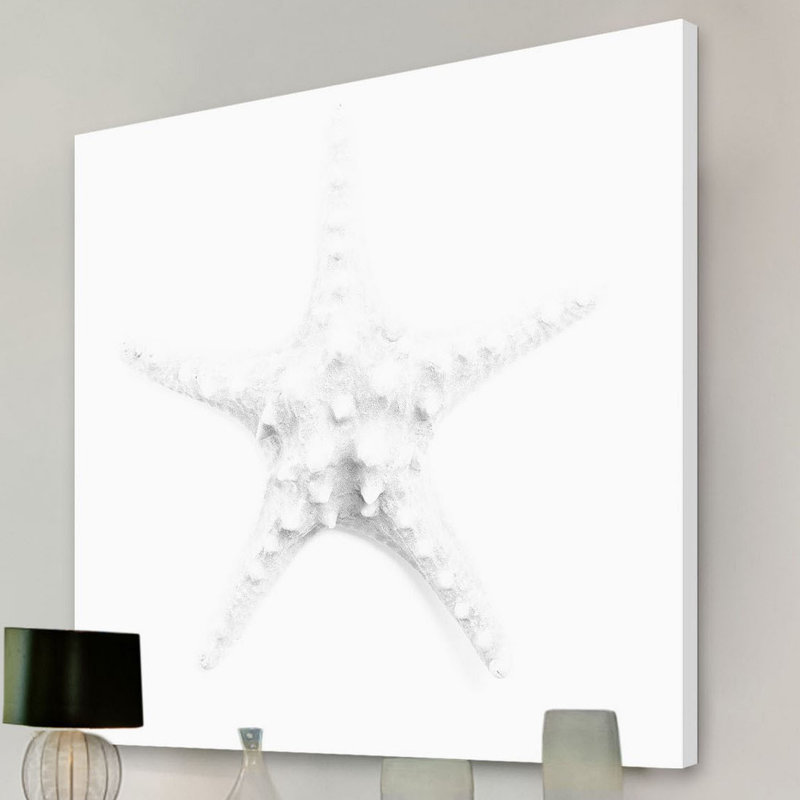 Shiro Star - Wrapped Canvas Print, 101cm H x 101cm W x 3.81cm D