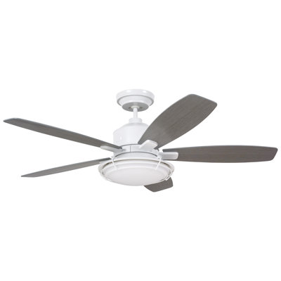 Jeanine Ceiling Fan with Light Kit