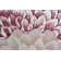 Ayalur Floral Indoor Rug