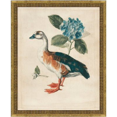 «Martha Pond Lily», art mural sur toile «Coastal Bird Study: Shore Duck», 18 po x 22 po, décor de salon et de chambre à coucher, encadré