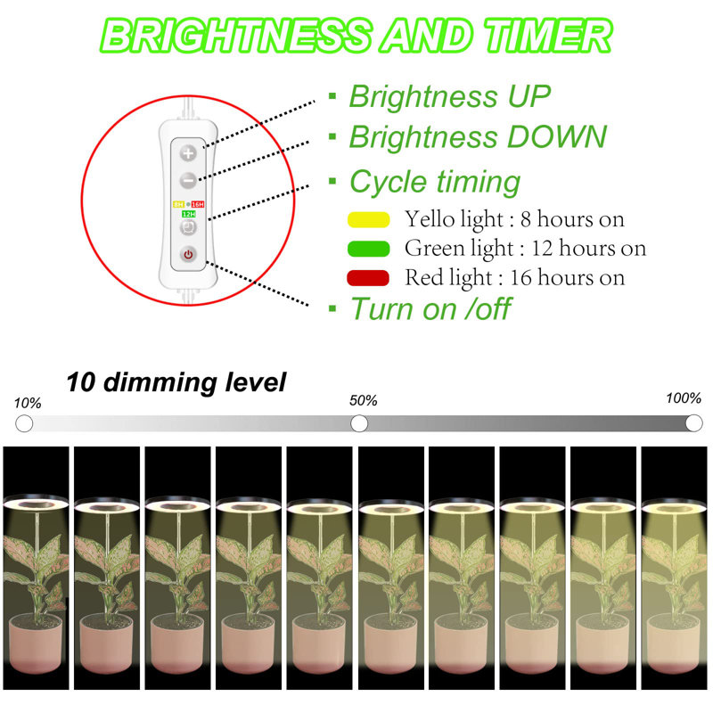 UNIVERSAL WINDOW SOLUTIONS Plant Grow Light, LED Growing Light Full Spectrum For Indoor Plants,Height Adjustable, Automatic Timer, 5V Low Safe Voltage,Idea For Small Plant Light