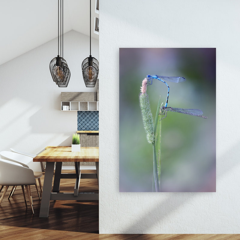 Blue Damselfly Love Delicate Serene Tranquil Animal Nature Wall Art Print 1 Piece Wrapped Canvas Wall Art