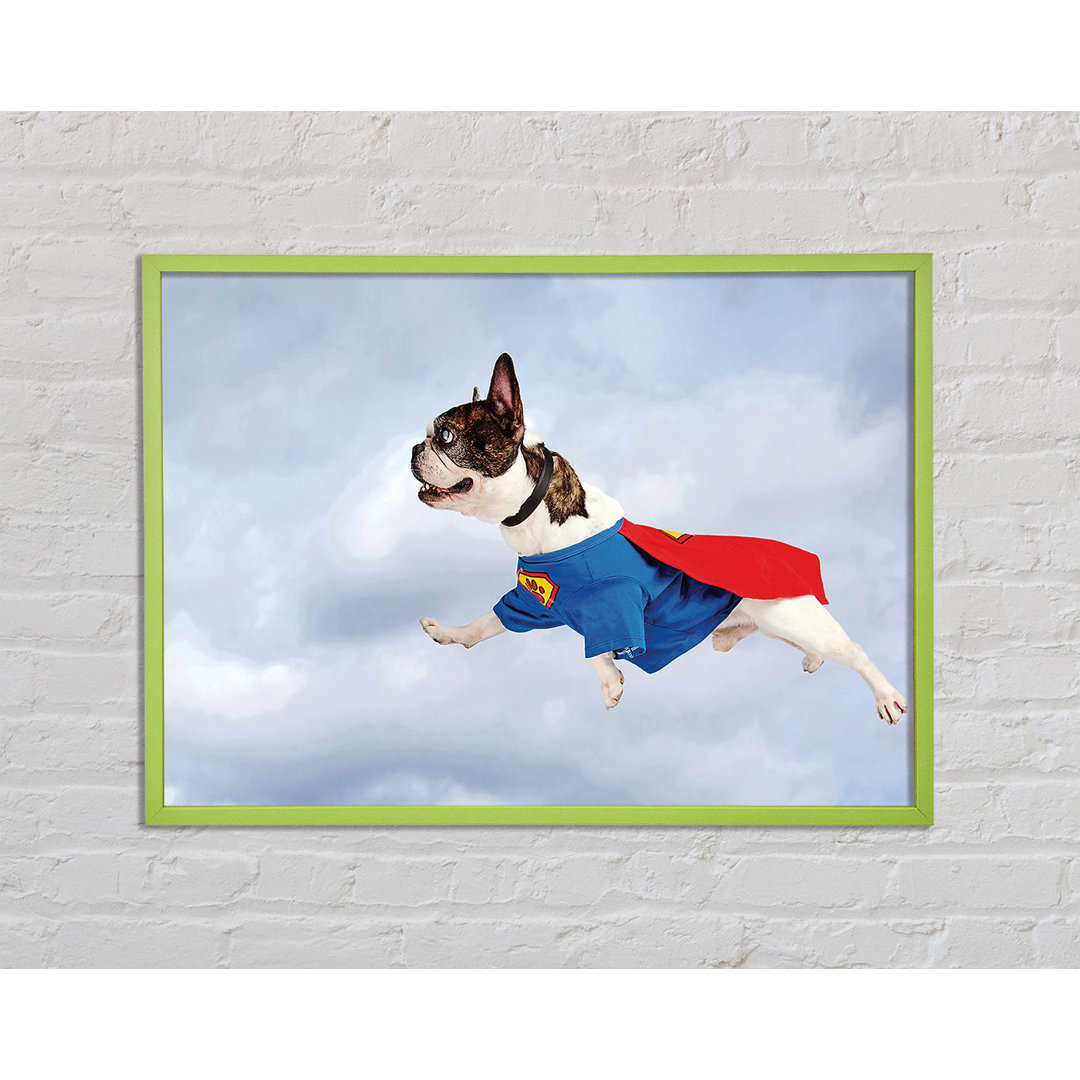 Charl Super Dog Skies - Einzelner Bilderrahmen Kunstdrucke