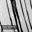 Rideau de douche Grunge-215684855