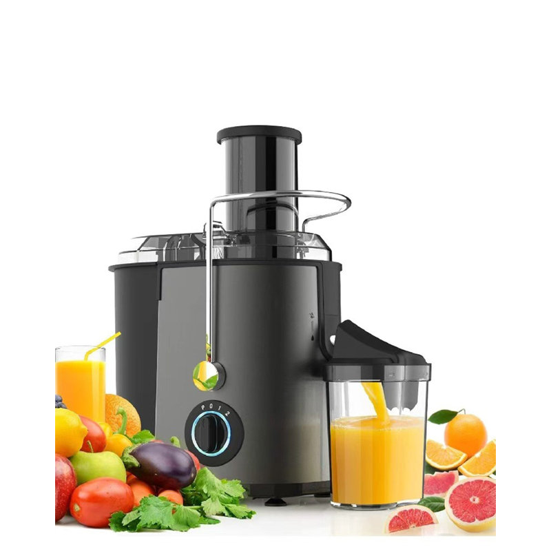 800W Centrifugal Juicer Machine, 3-Speed Juice Extractor With 3-Inch Wide Chute, Easy Clean, Fruit & Vegetable Juicer, Stainless Steel, BPA-Free, Compact Home Kitchen