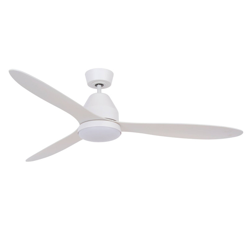 Aalyna 142cm Ceiling Fan with Light Kit