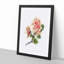 Pink Rose Illustration - Picture Frame Painting Print-55583911-55583910