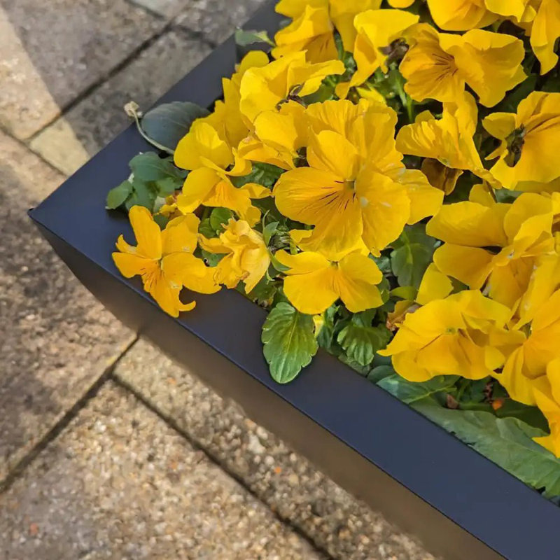 Baudelio Metal Planter Box, 40cm H x 40cm W x 40cm D