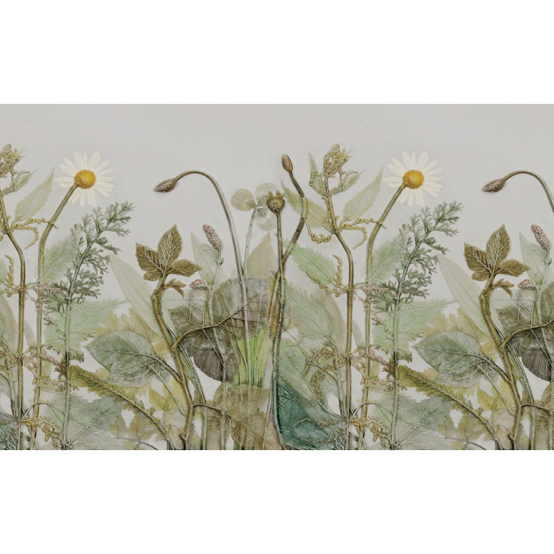 Murale Salcido Plants Daisies, L 35 po x l 55 po