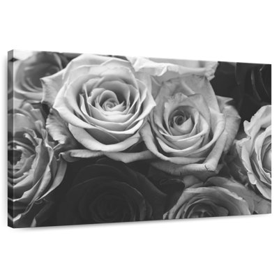 Roses Harnek