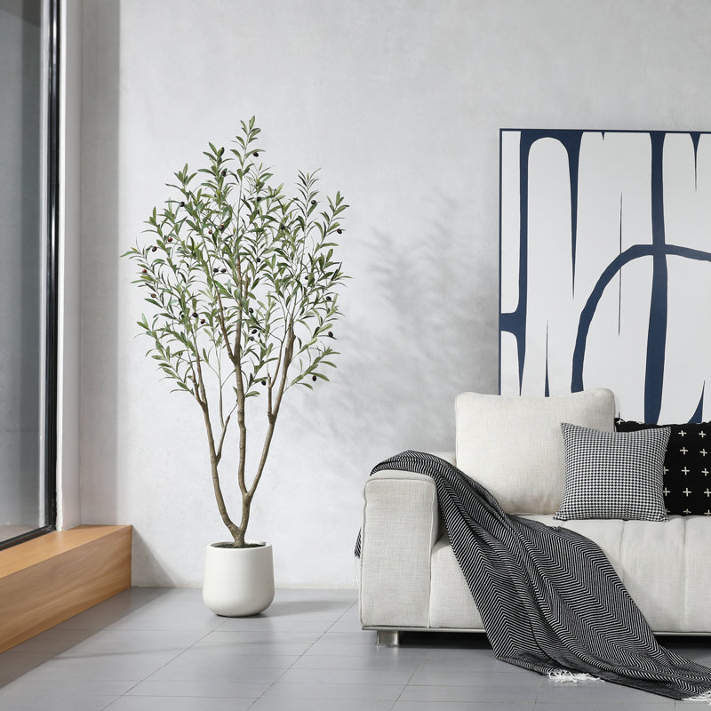 Adcock Artificial Olive Tree in White Planter, 72" H x 24" W x 24" D