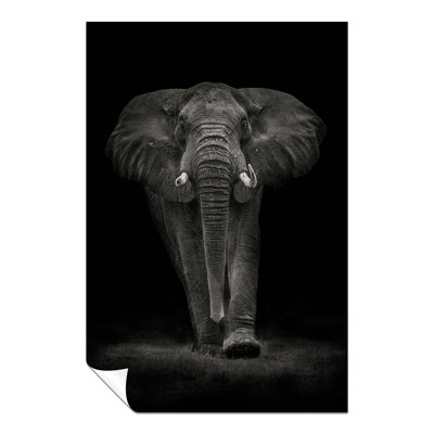 Approaching Majestic Elephant In The Dark - No Frame Print