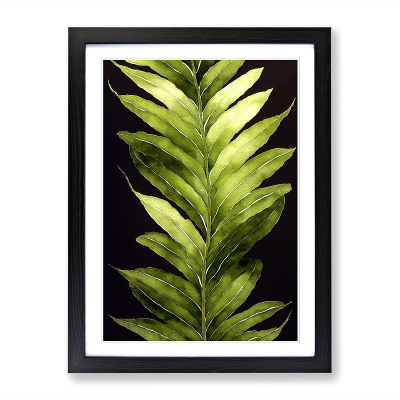 Watercolour Fern Leaf Vol.2 - Single Picture Frame Print, Black, 64cm H x 46cm W x 2cm D