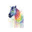 Rainbow Zebra by Olga Shvartsur - Wrapped Canvas Painting-50005031